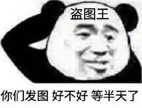盗我图表情包表情
