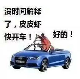  皮皮虾到底是个什么梗