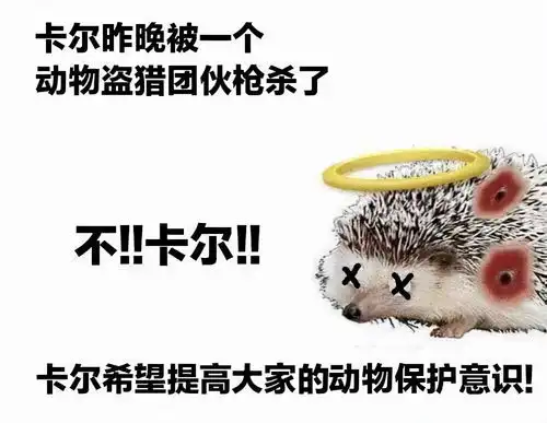  热梗百科谢谢卡尔什么梗