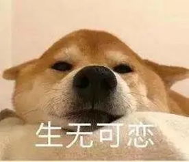  小学生面试官招募令你的外教,由你把关