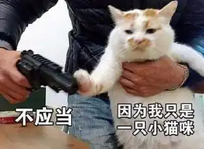  股市每日谈地球对面的搬石头砸脚震我a地上打滚