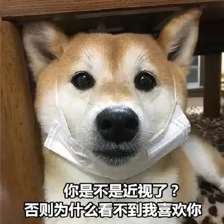  狗都比你会说情话