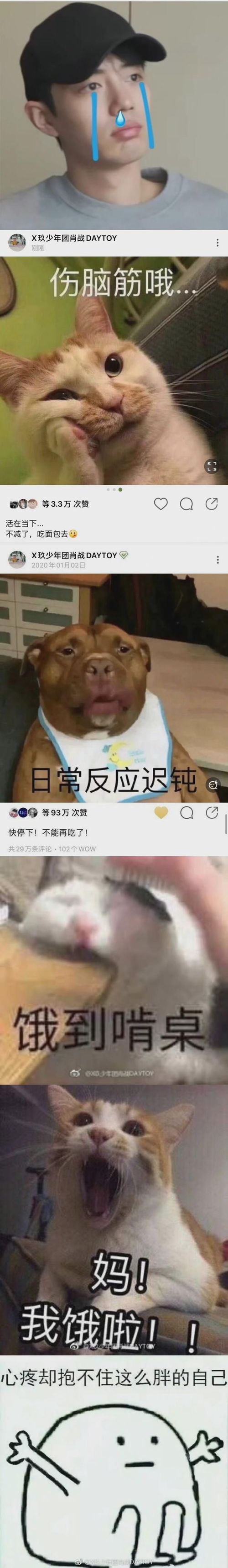  肖战一句话一个表情包成功出圈,海外粉丝都沸腾了