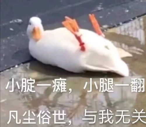 android一步步实现无痕埋点1万恶之源