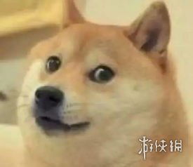  狗头是什么意思狗头表情包