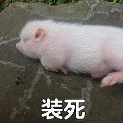  1收藏夹