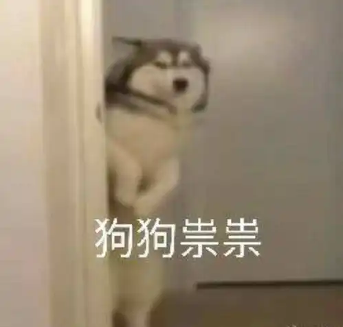  俄罗斯老铁,你咋把23吨物资扔下就偷跑了不写两句诗嘛