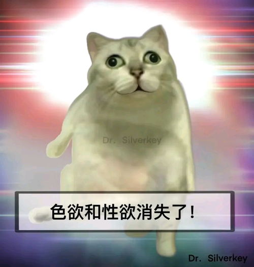  目前b站30个mur猫专栏里面的表情包整合以及其他mur表情