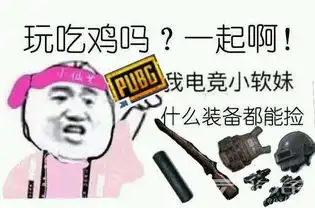  和我打游戏有排面表情包下载跟我玩有牌面熊猫表情免费版