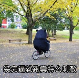  十日疾奔俄罗斯双城冬行记莫斯科圣彼得堡近两万字多图慎点