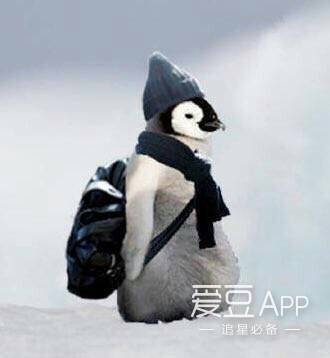企鹅微信头像图片小黑