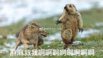  啊啊啊啊啊啊啊啊啊