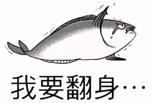  搞事情了丽水冒险岛水世界嗨浪电音节一日游晚上2000返回298元人7月14,15日发团仅此2团
