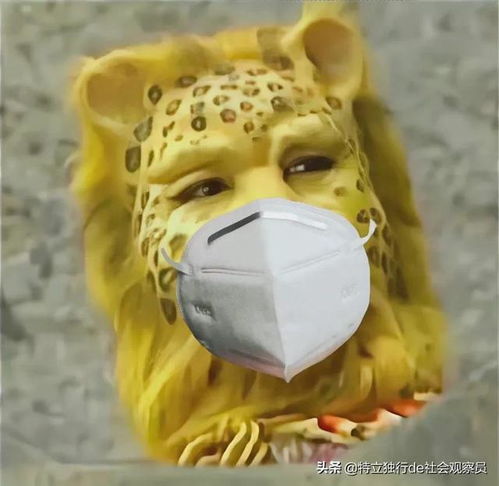  请问这个图片最近为什么火