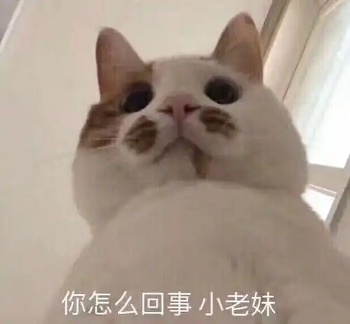  现在晚会上唱歌的都是演员