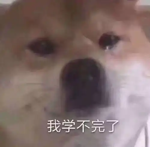  热门表情包拿图片我喜欢你,谢谢,你是个好人