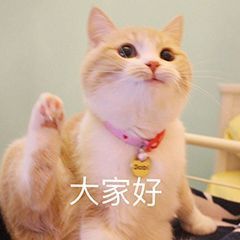  唯美食和我不可辜负