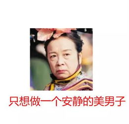  史上最全还珠格格表情包来了