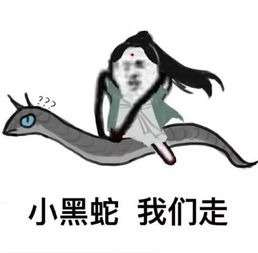  寻神四海八荒的上神,官微在找你