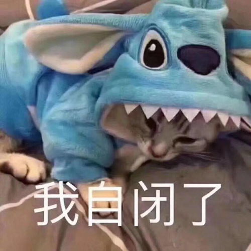  沙雕表情包大哥算了算了