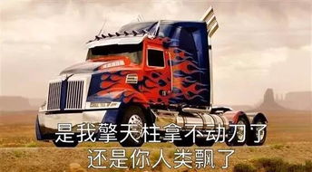  残忍你关心过大卡车吗没有你只关心你自己