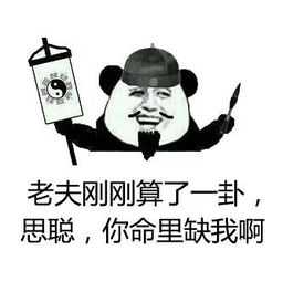  今日最火丨王思聪吃热狗表情包