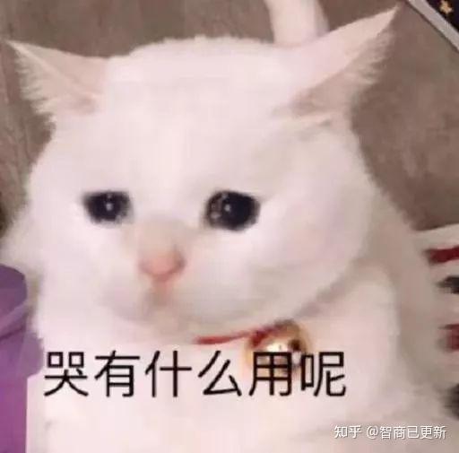  想问问各位考研的知友们,关于英语手译有必要吗