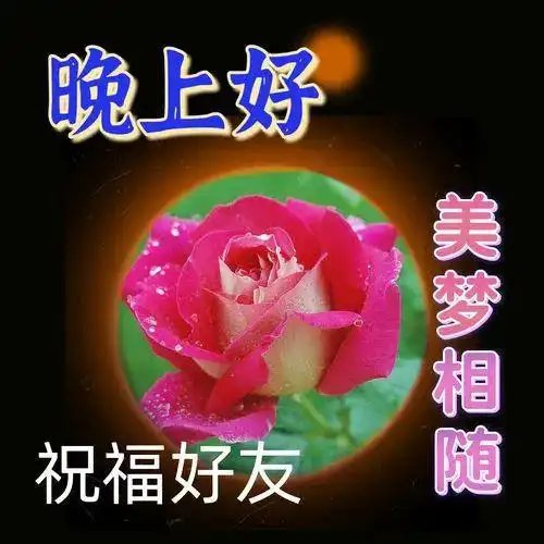  晚上好图片大全,晚上好祝福图片,晚安表情包,祝君好梦