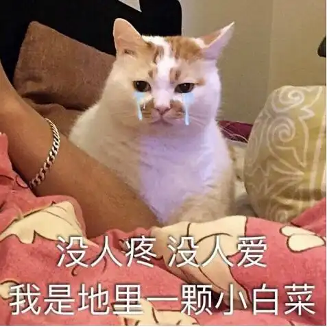  我突然想到了我哥突然不敢欺负我的原因解释累了...