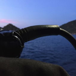  南极看完企鹅,和我一起泰国潜水看鲨鱼