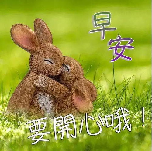  周五早上发朋友圈的正能量经典语录早安心语优美的句子