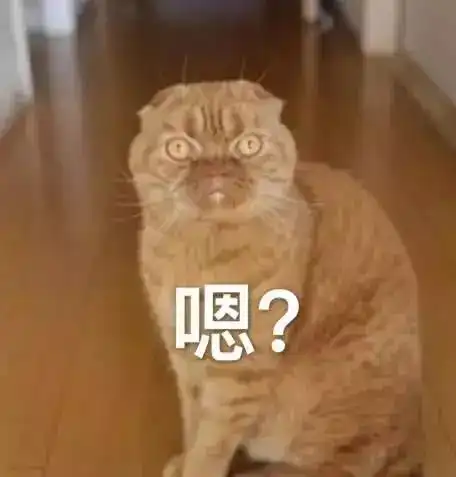  表情包好困,可以不去上班吗