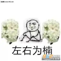  送你两把石楠花表情包石楠花系列表情包下载乐游网游戏下载