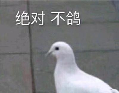  一双怪眼似明星,两耳过肩查又硬仰鼻猴属科普