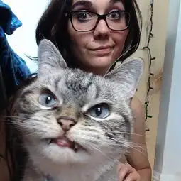 想吃小孩猫咪表情包爱猫