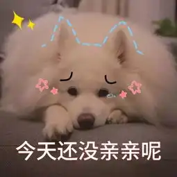  萌宠表情包必须爱我没有选择