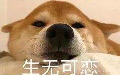  读书日常之吕克的梦想4