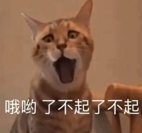  表情包今天我也是一只棒棒的小猫咪