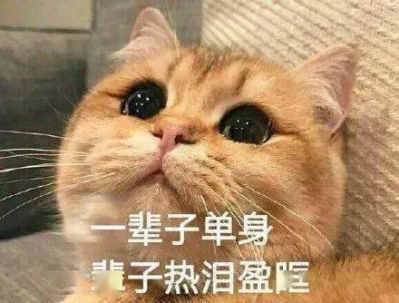  脱单战疫拍了拍安康单身青年,七夕交友第二季来啦