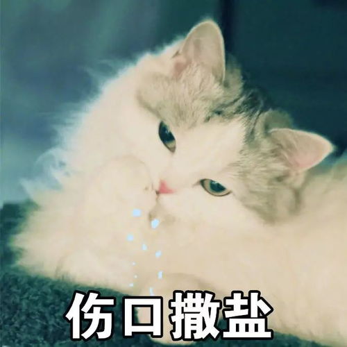  年底加月底,拒绝吃土,从我做起