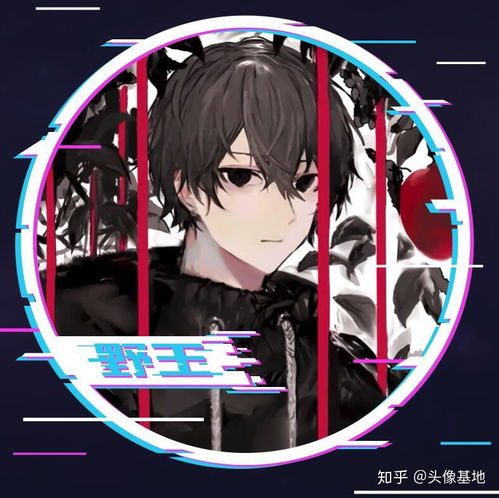  王者荣耀野王抖音风头像