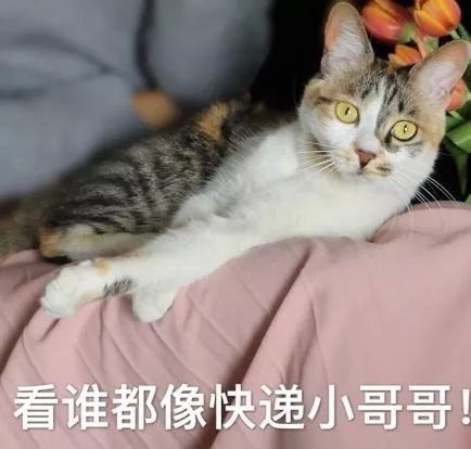  包裹月快递诈骗手法又升级诈骗知识知多少