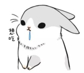  你认识的串串也是麻辣烫还是火锅呀