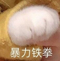 谨言慎行图片表情包表情