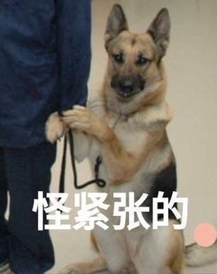  解构主义凯撒沙拉