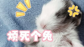  花絮傻包出来做操啦,被迫营业