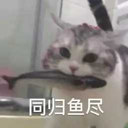  叮四六级特辑到咯