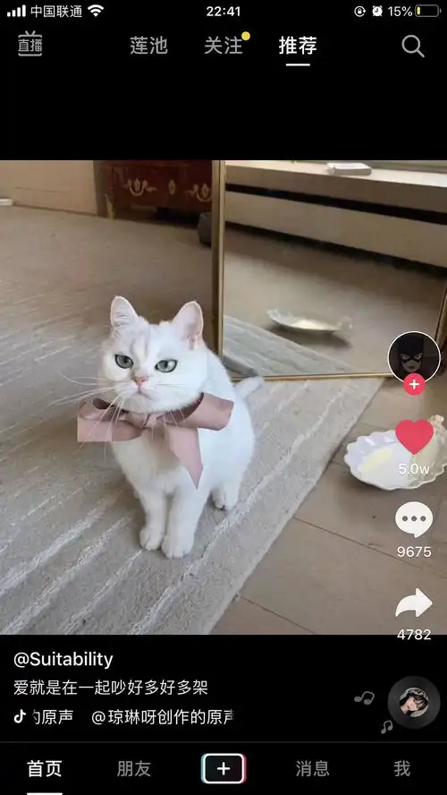  求这个小猫咪的原图
