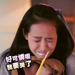  我要宋茜的表情包