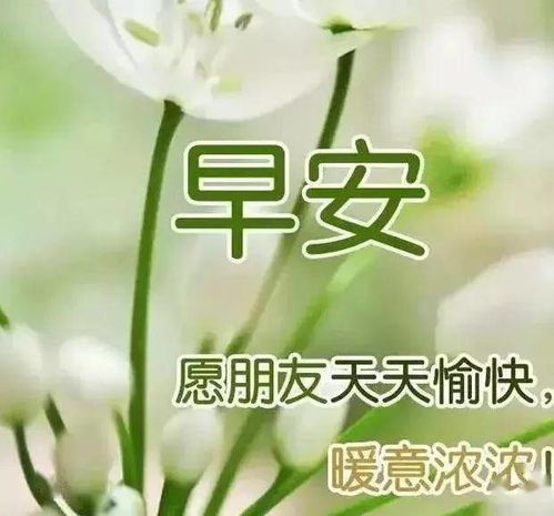  送上一份清凉,愿你在这炎炎夏日里,清爽舒适,快乐一夏,早安